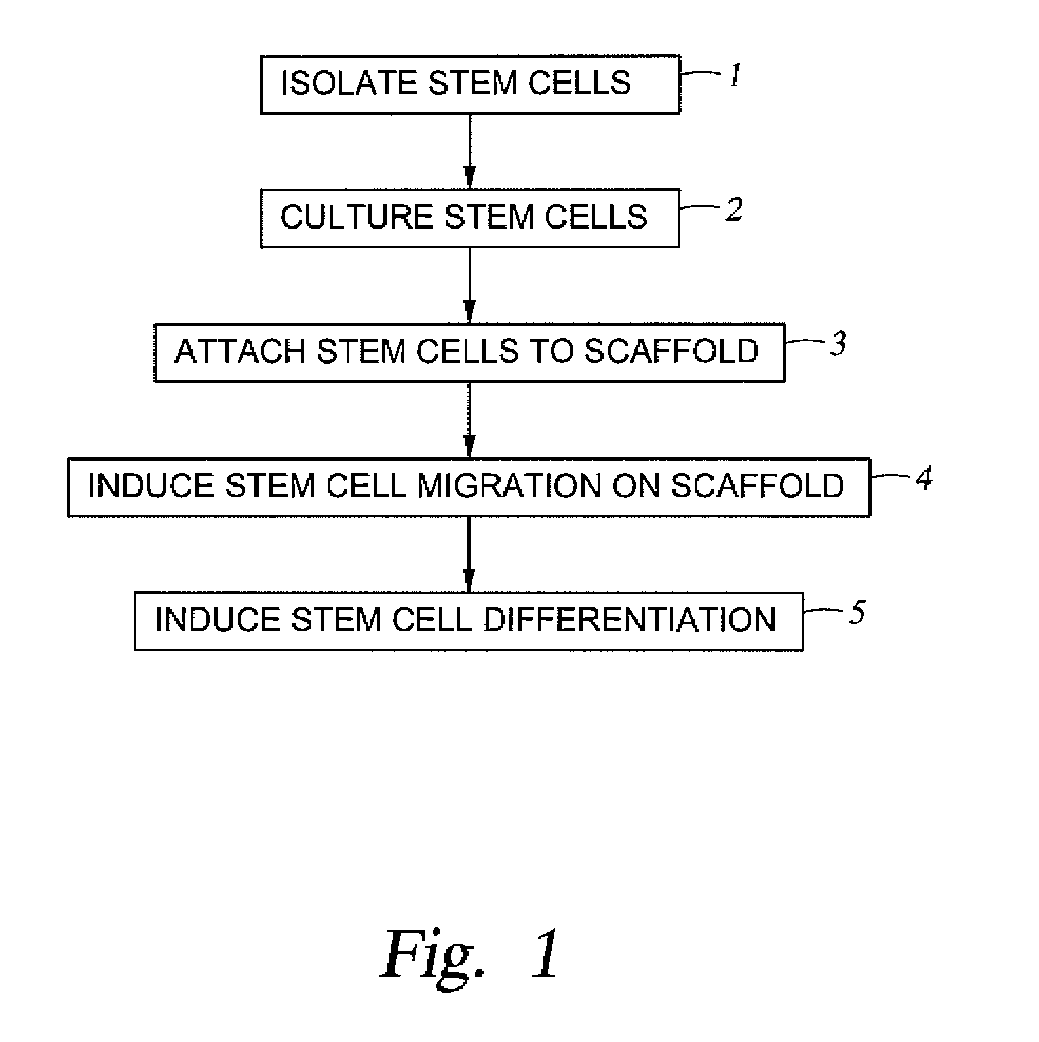 Stem cell enhanced protein products and uses therof