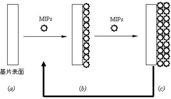 Organic arsenide molecularly imprinted membrane substrate in aptamer-based marine products, and production method and application thereof