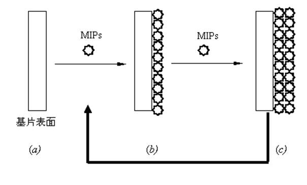 Organic arsenide molecularly imprinted membrane substrate in aptamer-based marine products, and production method and application thereof