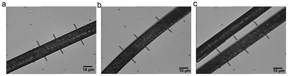 Method for synthesizing novel spinnable polyborazane precursor in one pot