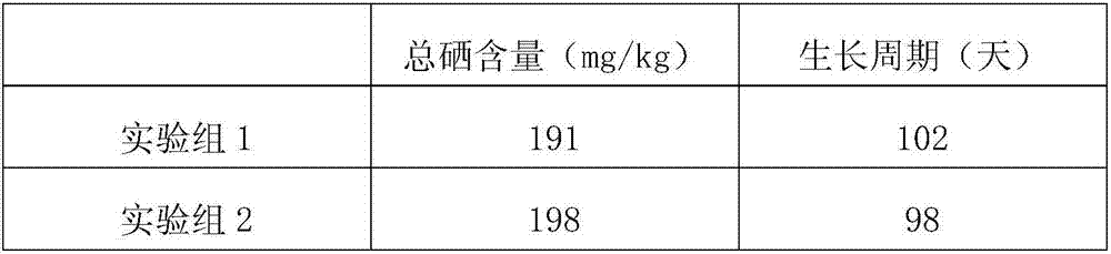 Culture material and culture method of selenium-enriched pleurotus geesteranus