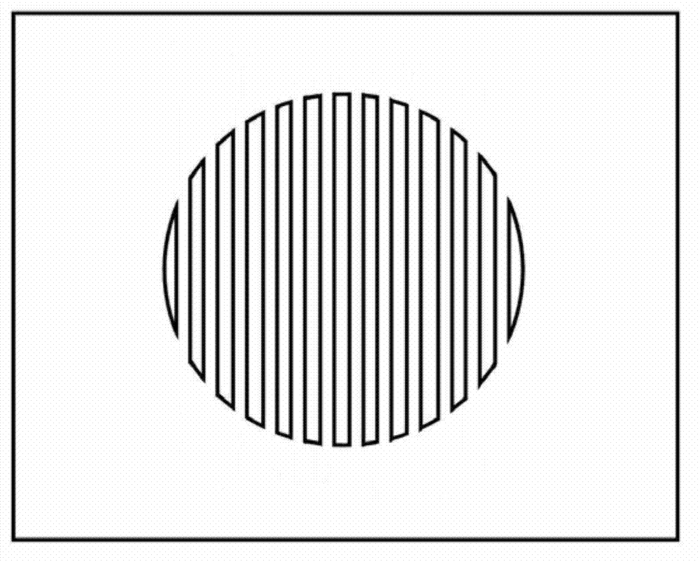 Face indentification device for live person