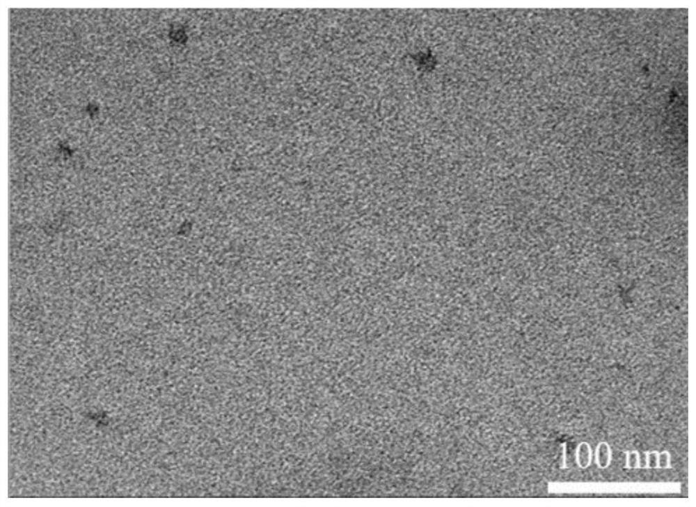 Method for preparing solid-phase carbon quantum dots by adopting biological collagen waste and application of solid-phase carbon quantum dots