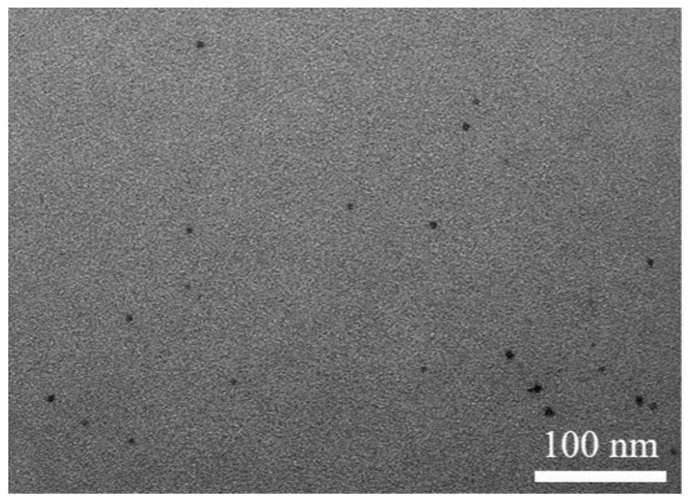 Method for preparing solid-phase carbon quantum dots by adopting biological collagen waste and application of solid-phase carbon quantum dots