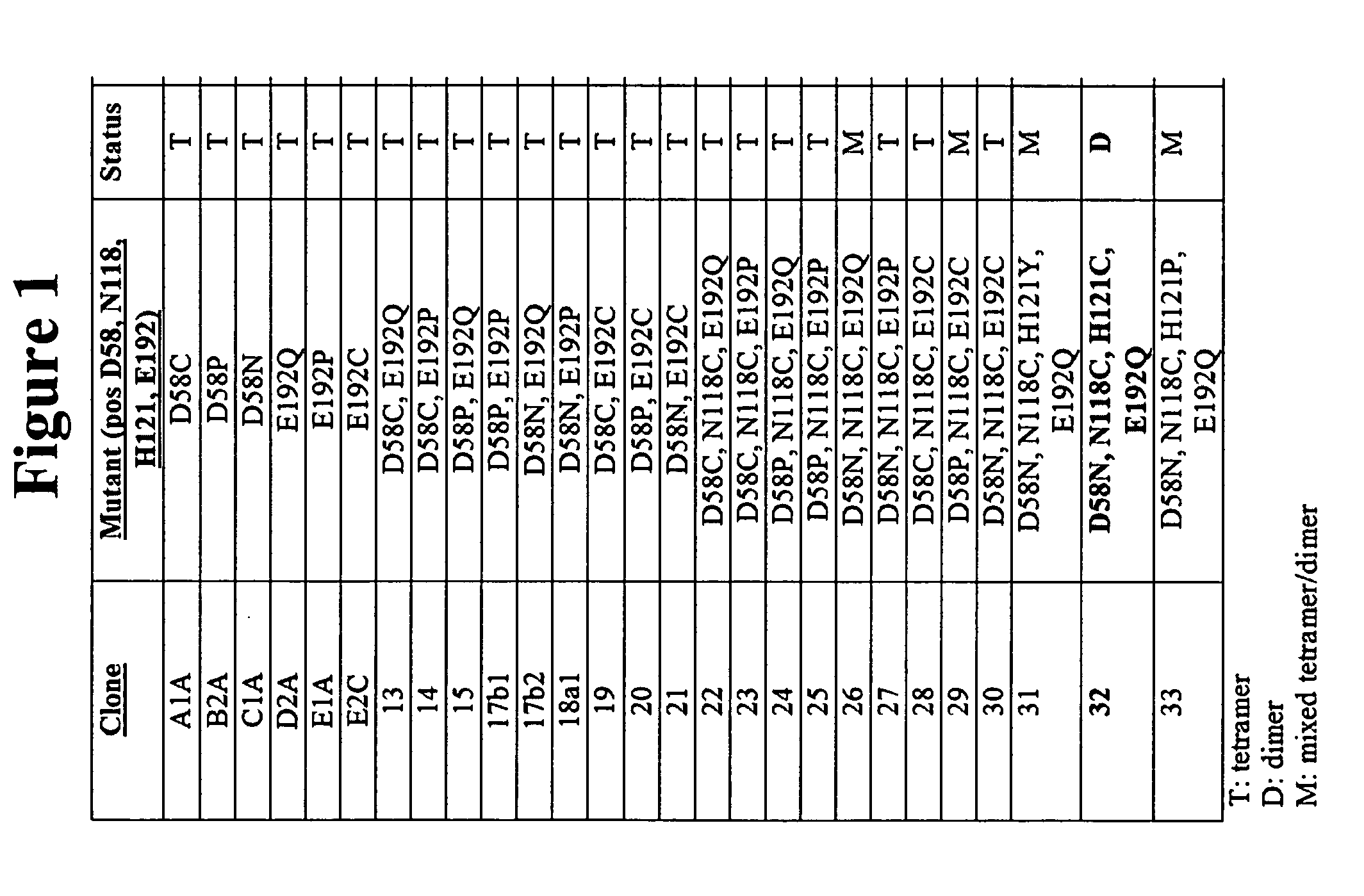 Design and construction of dimeric concanavalin a mutants