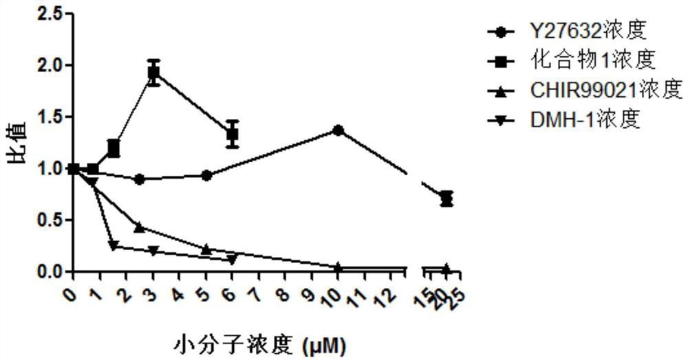 Culture medium for epithelial cells of esophageal squamous carcinoma, culture method and application thereof