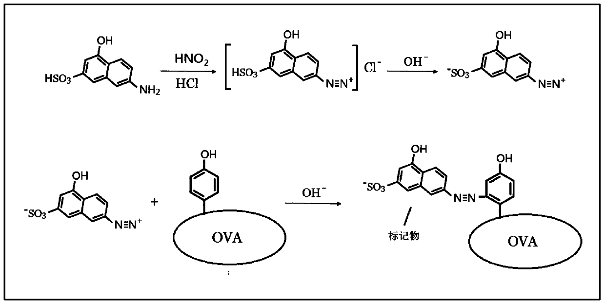 Antibody array card for detecting oxaprozin and ibuprofen by using marker guided universal signal