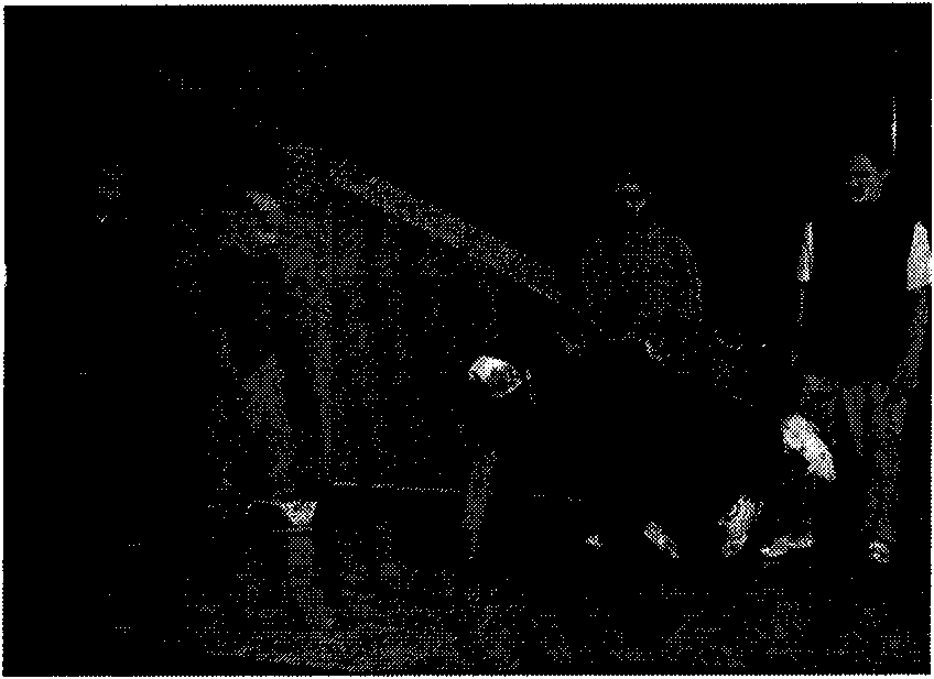 Video area-of-interest exacting method based on depth