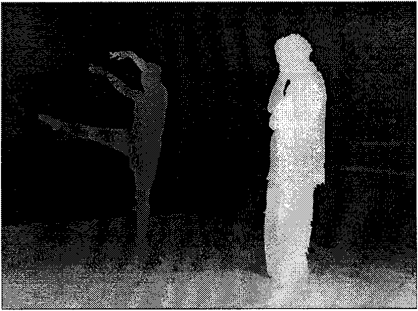 Video area-of-interest exacting method based on depth