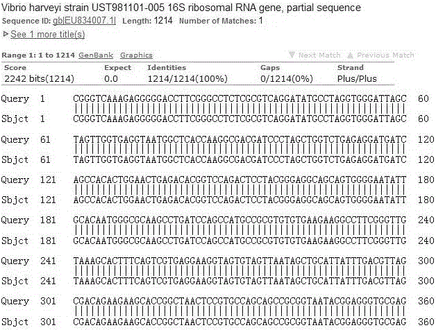 Method for establishing fingerprint map of marine vibrio and fingerprint map of marine vibrio