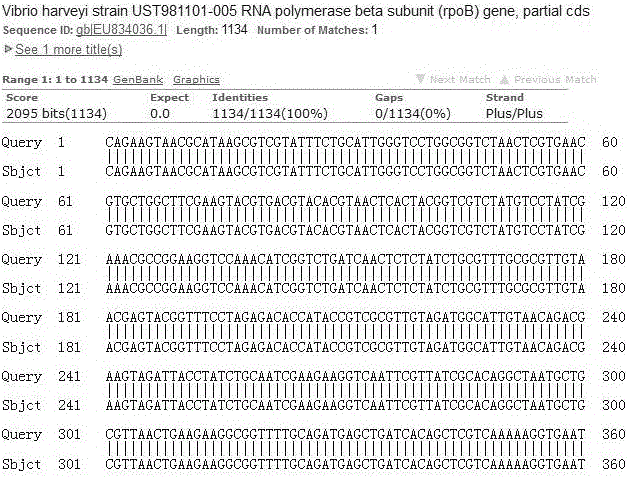 Method for establishing fingerprint map of marine vibrio and fingerprint map of marine vibrio