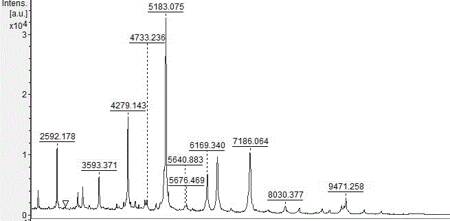 Method for establishing fingerprint map of marine vibrio and fingerprint map of marine vibrio