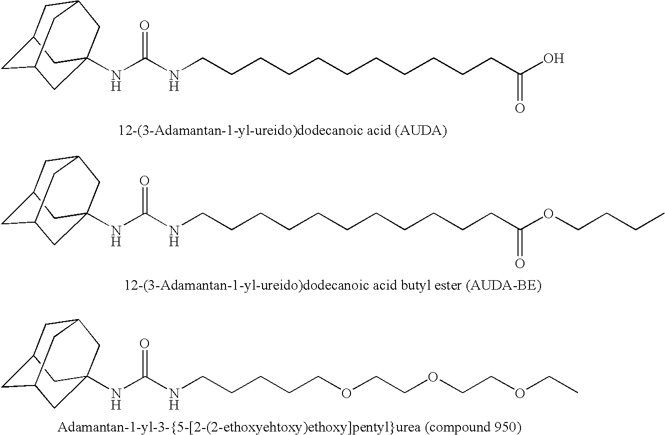 Reducing Nephropathy with Inhibitors of Soluble Epoxide Hydrolase and Epoxyeicosanoids