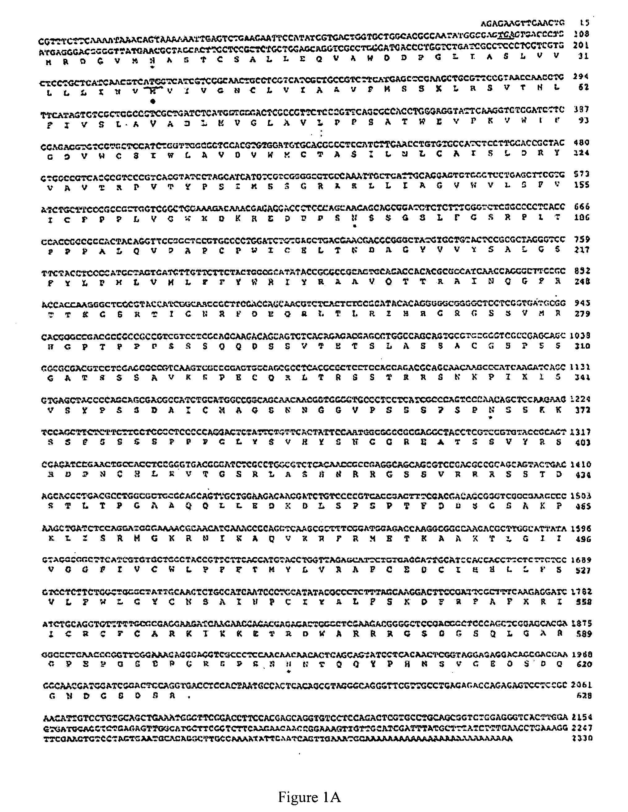 Compositions and methods for controlling insects related to the octopamine receptor