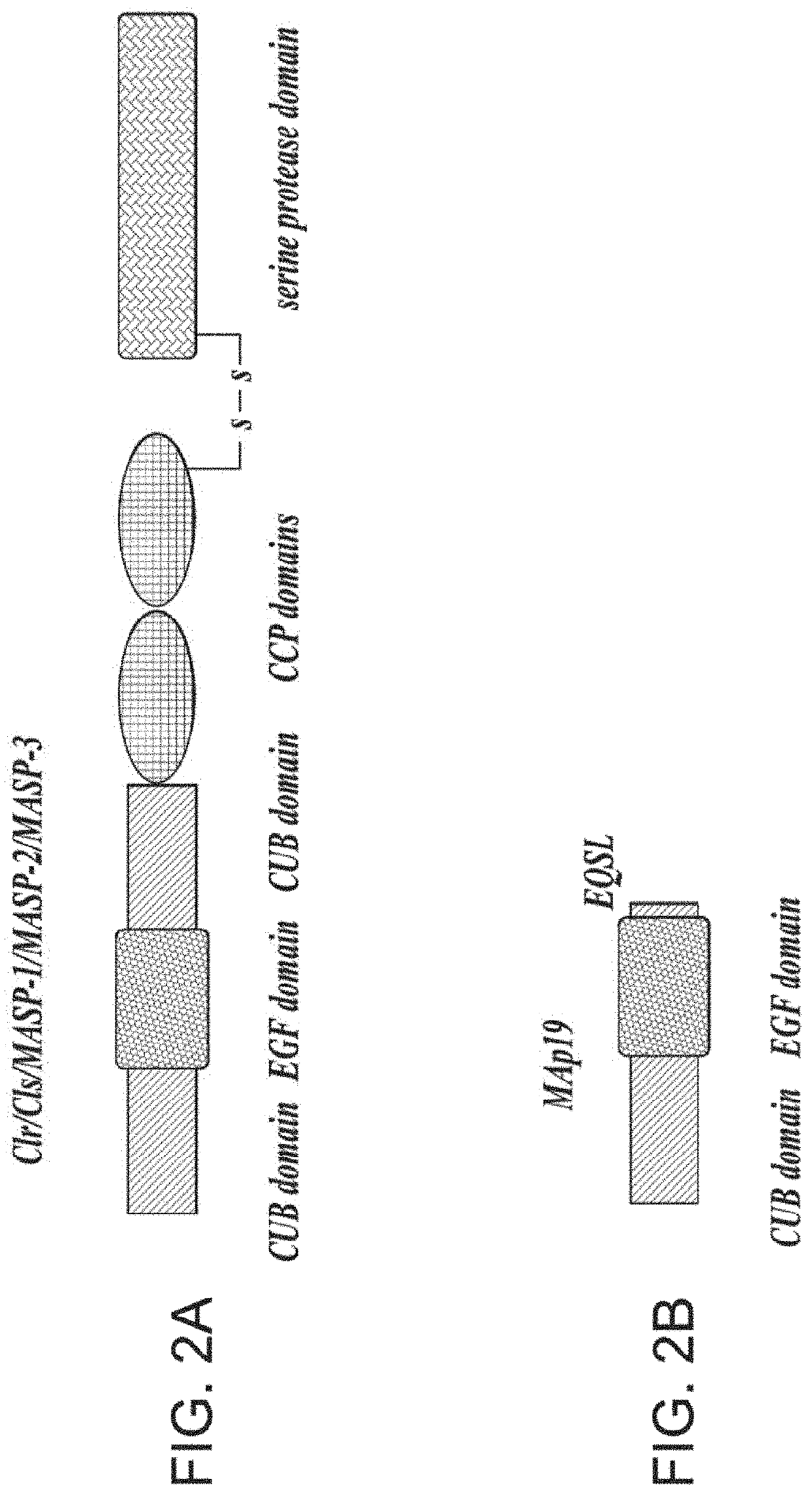 Biomarker for assessing the risk of developing acute covid-19 and post-acute covid-19