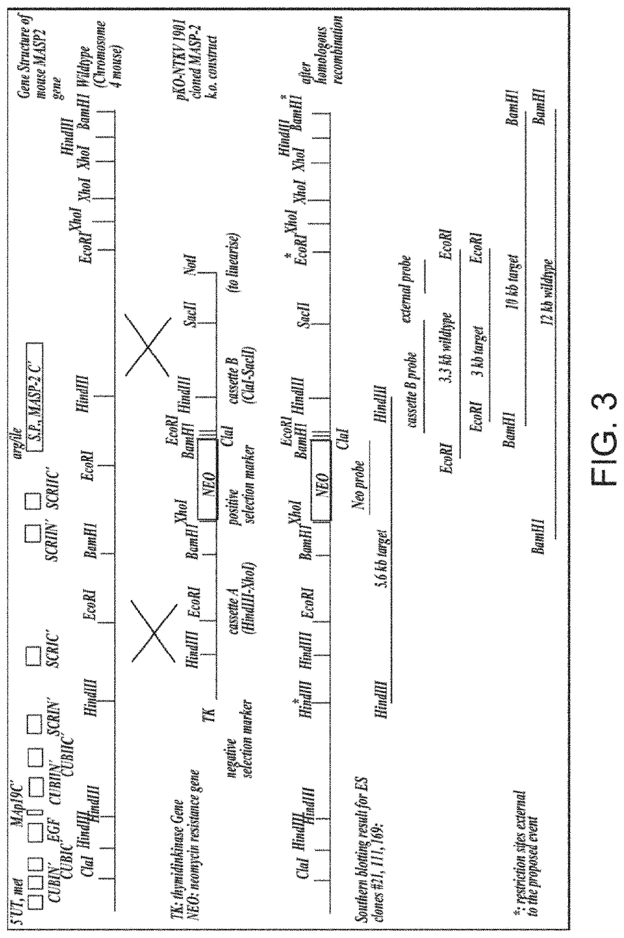 Biomarker for assessing the risk of developing acute covid-19 and post-acute covid-19