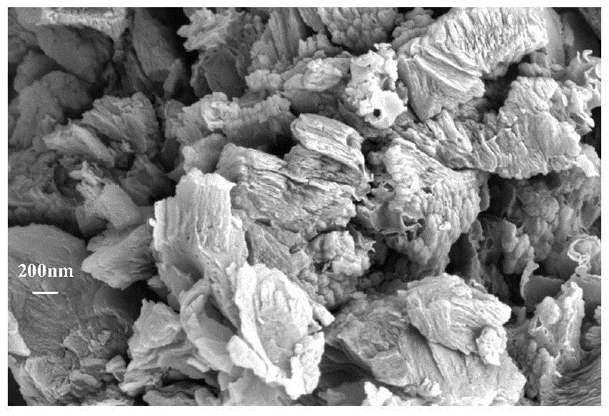 Composite visible light catalyst of g-C3N4/bismuth-based oxide and preparation method and application of composite visible light catalyst