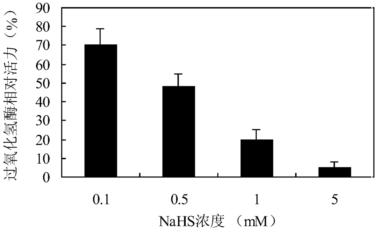 Application of Hydrogen Sulfide in Improving the Inhibition Rate of Antitumor Drugs