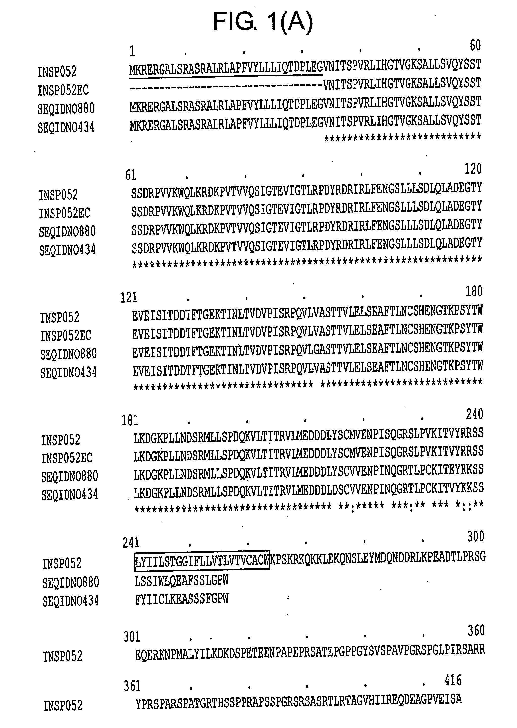 Cytokine Antagonist Molecules