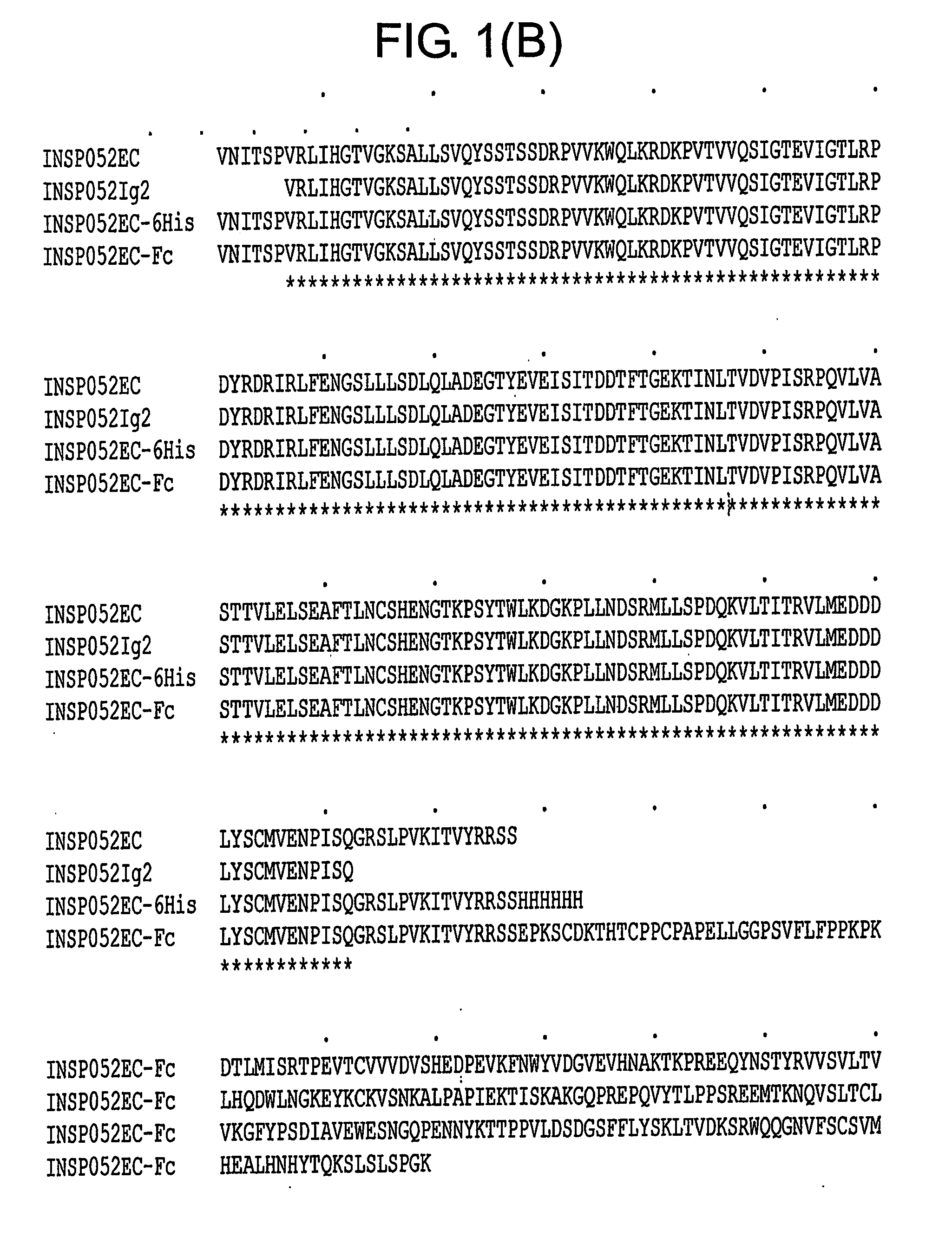 Cytokine Antagonist Molecules