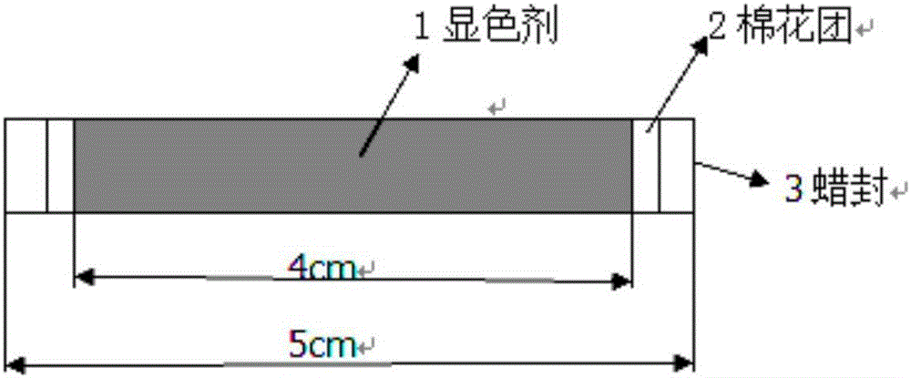 Color developing agent for detecting benzene gas, gas detection tube and manufacturing method and application of gas detection tube