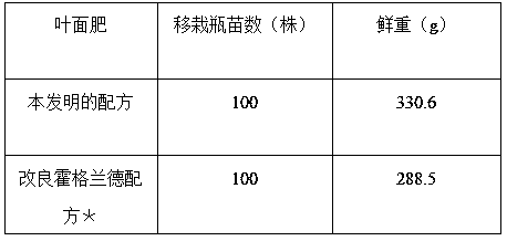 Industrialized cultivation method of anoectochilus roxburghii