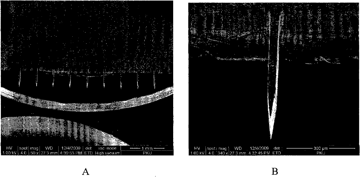 Method for preparing plane hollow microneedle for transdermal administration