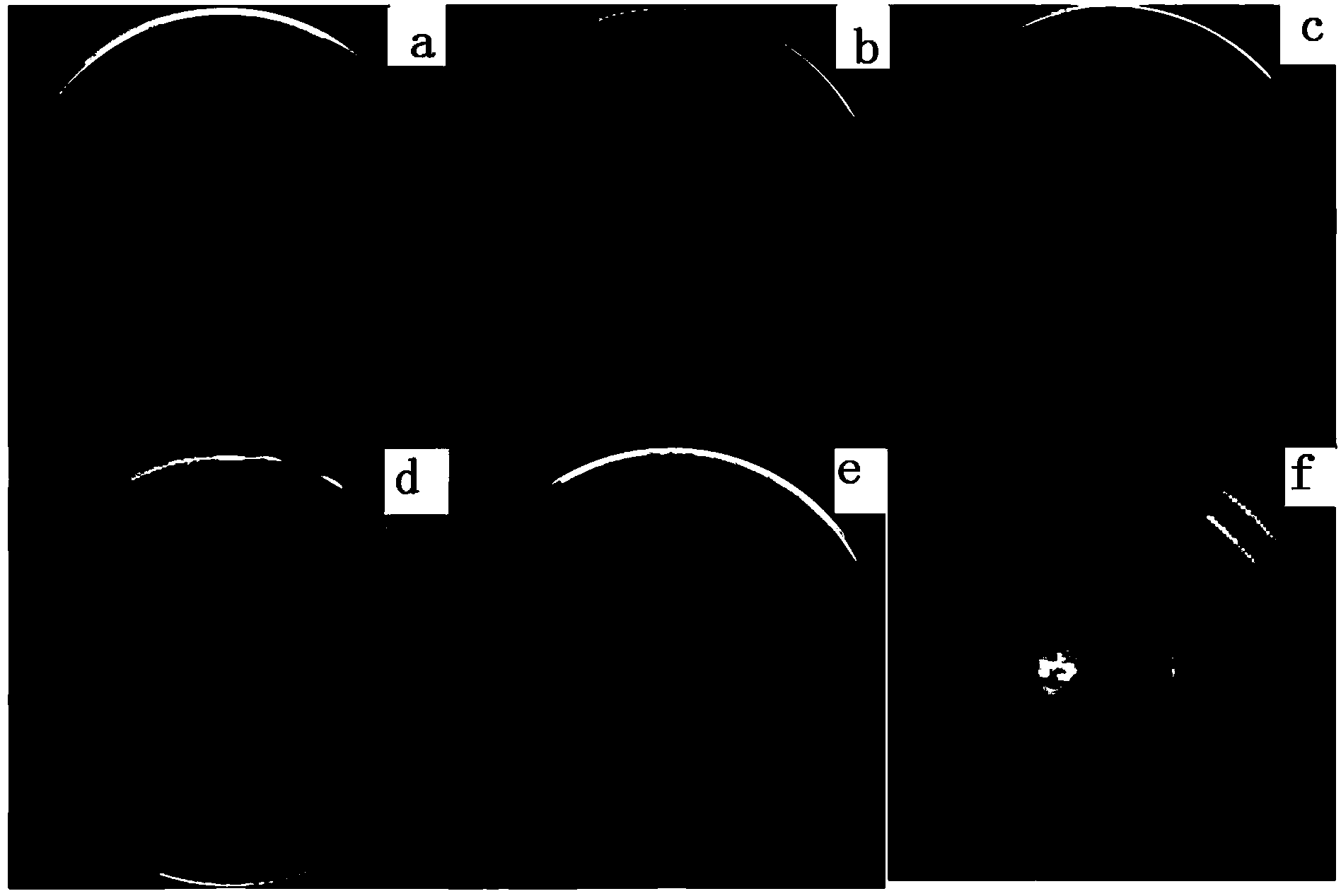 Migration-free antibiotic polyolefin film and preparation method thereof