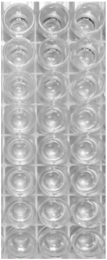 Hybridoma cell strain ZJED0-02, anti-Ebola virus GP (glycoprotein) monoclonal antibody and their preparation and application