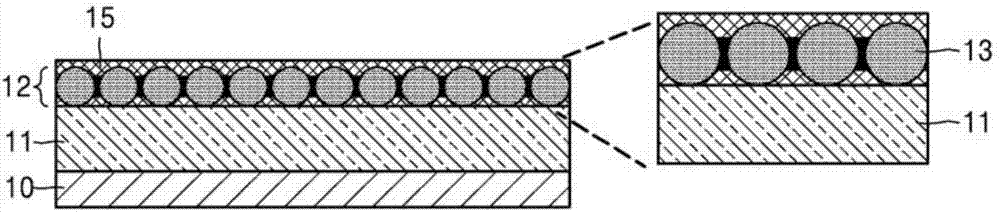 Negative electrode for lithium metal battery and lithium metal battery comprising the same