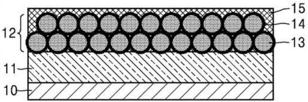 Negative electrode for lithium metal battery and lithium metal battery comprising the same