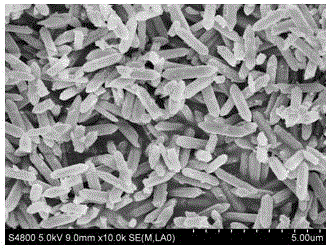 Preparation method of nitrogen-doped porous carbon rod capacitance desalting electrode