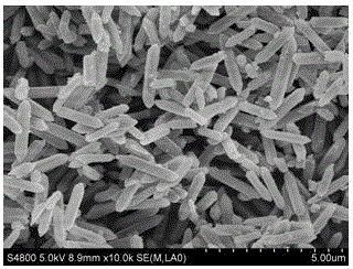 Preparation method of nitrogen-doped porous carbon rod capacitance desalting electrode