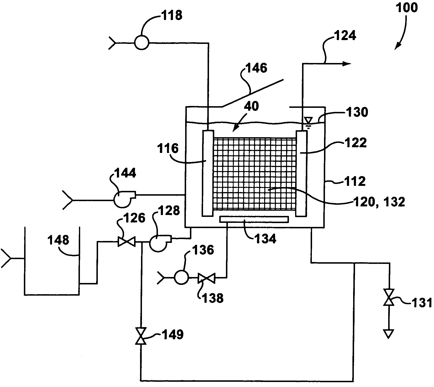 Supported biofilm apparatus and process