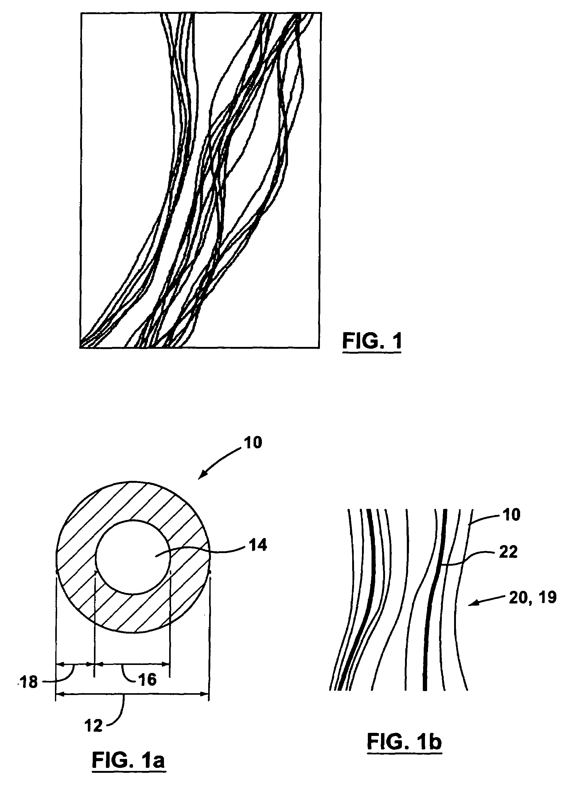 Supported biofilm apparatus and process