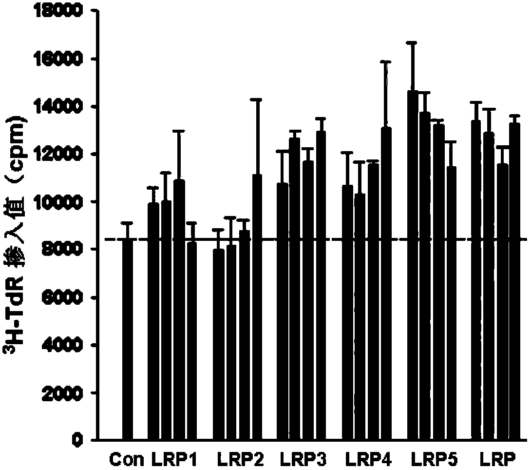 Application of lycium ruthenicum polysaccharides in preparation of immunoregulation medicines or health-care products