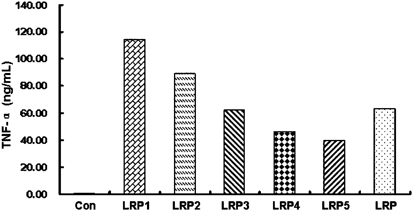 Application of lycium ruthenicum polysaccharides in preparation of immunoregulation medicines or health-care products