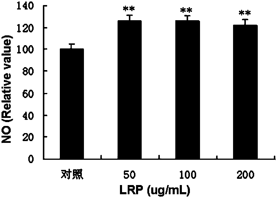 Application of lycium ruthenicum polysaccharides in preparation of immunoregulation medicines or health-care products