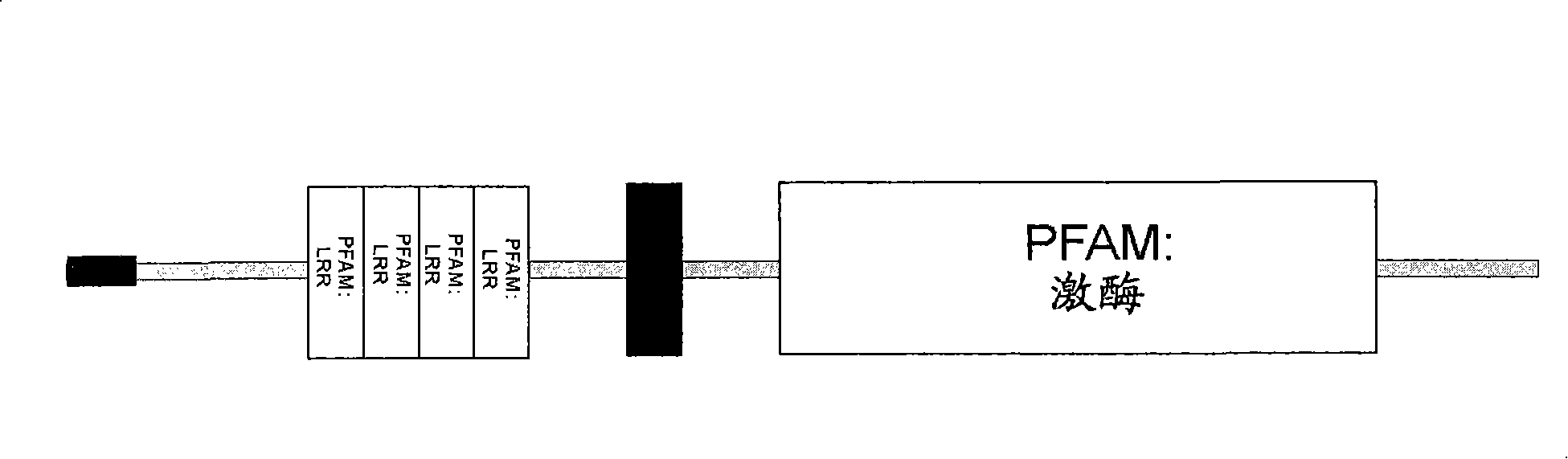 Plants having improved growth characteristics and method for making the same