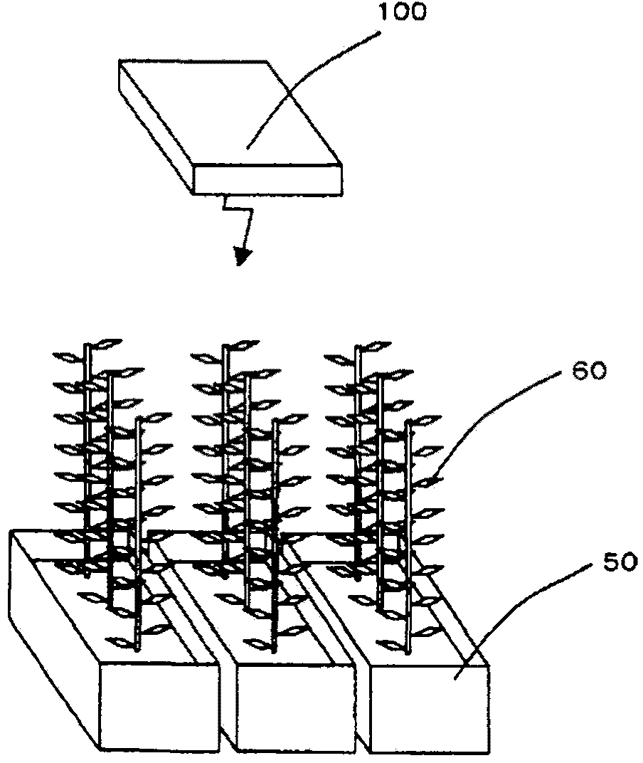 Cultivating Method For Plant Lighting Having Insect Control Effect, And Lighting System For Plant Cultivation