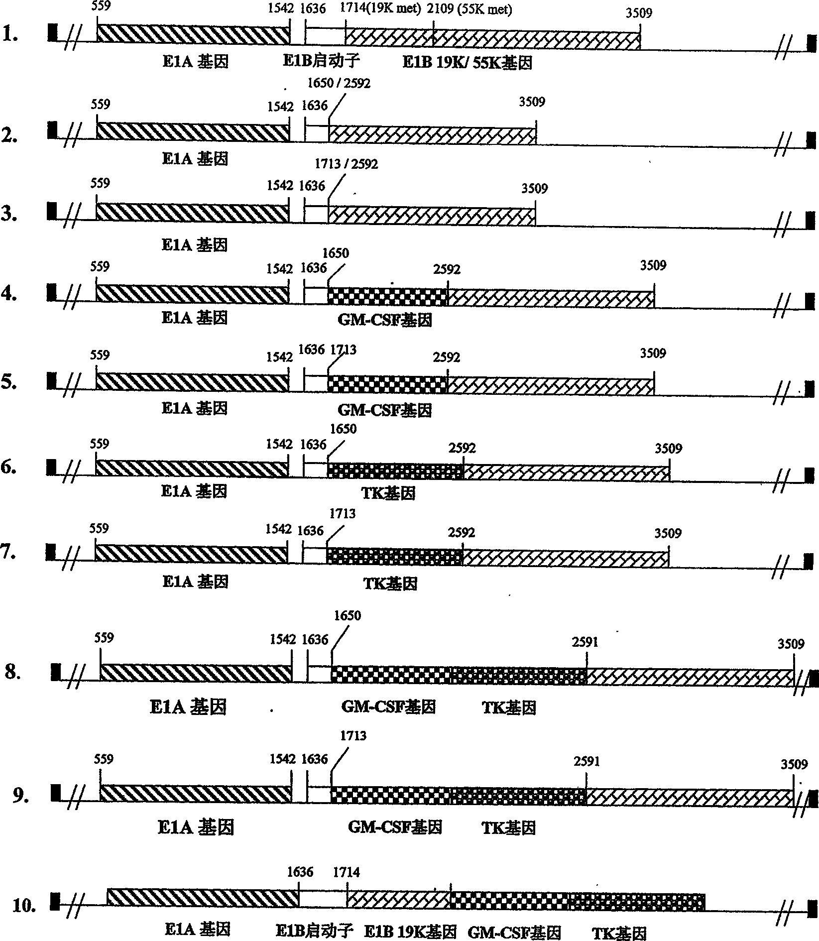 Multifunctional anticancer recombined adenovirus