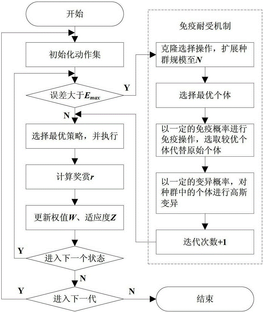 Reinforcement Learning Algorithm Based on Immune Tolerance Mechanism