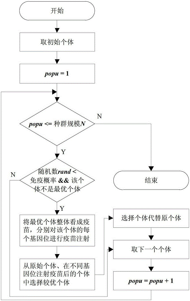 Reinforcement Learning Algorithm Based on Immune Tolerance Mechanism