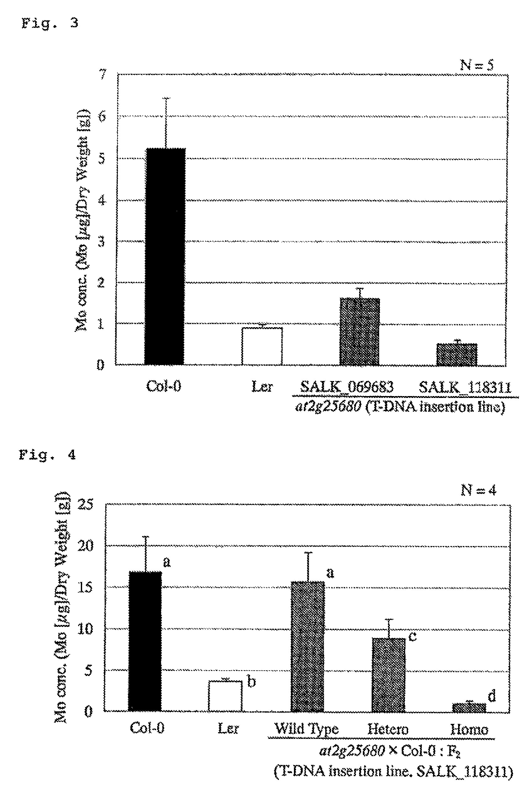 Molybdenum transporter gene and use thereof