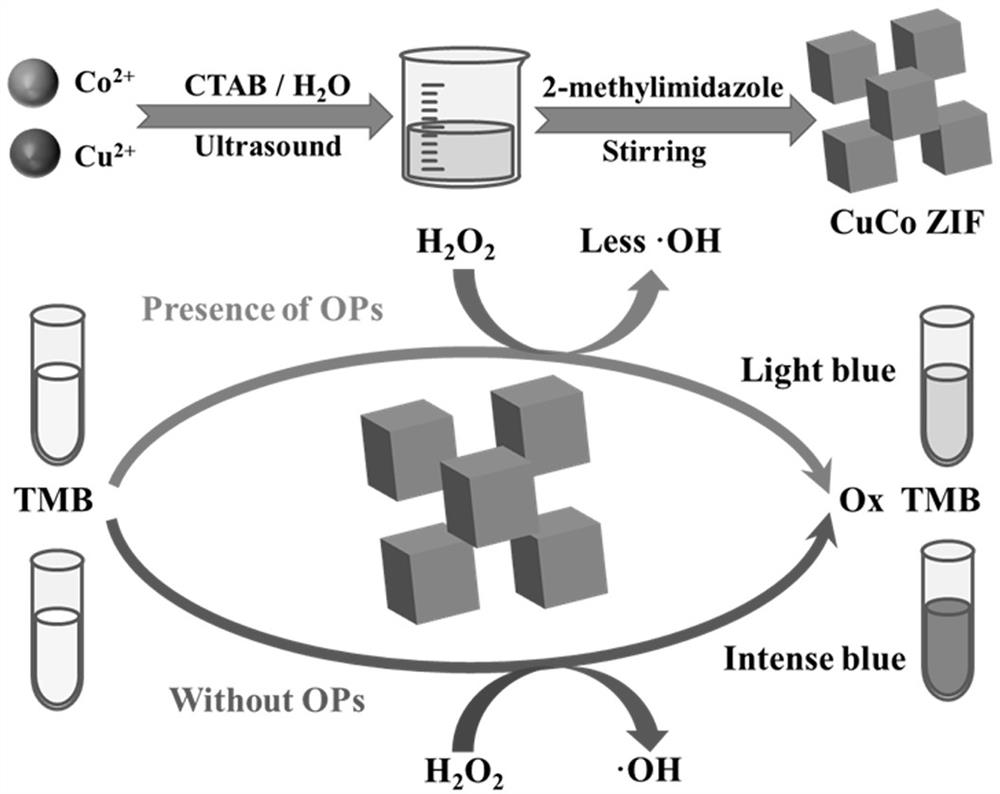 Copper-cobalt bimetal organic framework nano-enzyme and colorimetric analysis method of organic phosphorus colorimetric sensor of copper-cobalt bimetal organic framework nano-enzyme