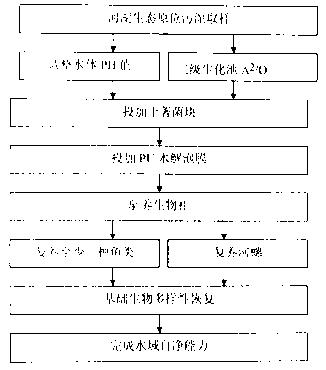 Indigenous bacterium blocks for treating dystrophication