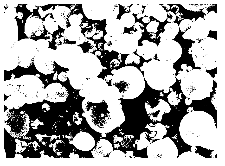 Method for preparing perilla oil powder through microencapsulation