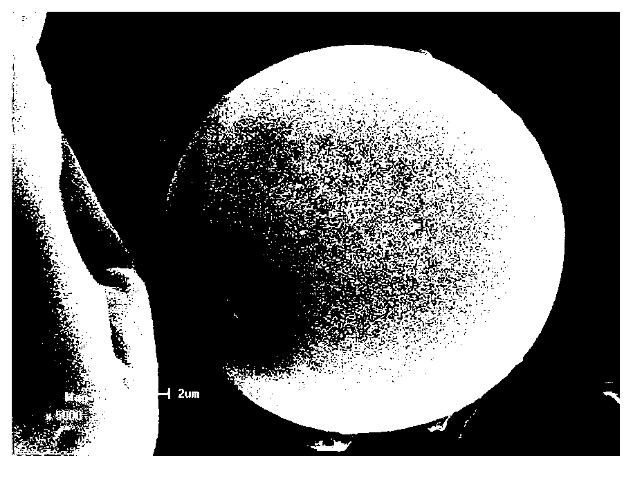 Method for preparing perilla oil powder through microencapsulation