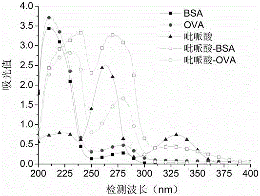 ELISA detection method for pipemidic acid and application thereof