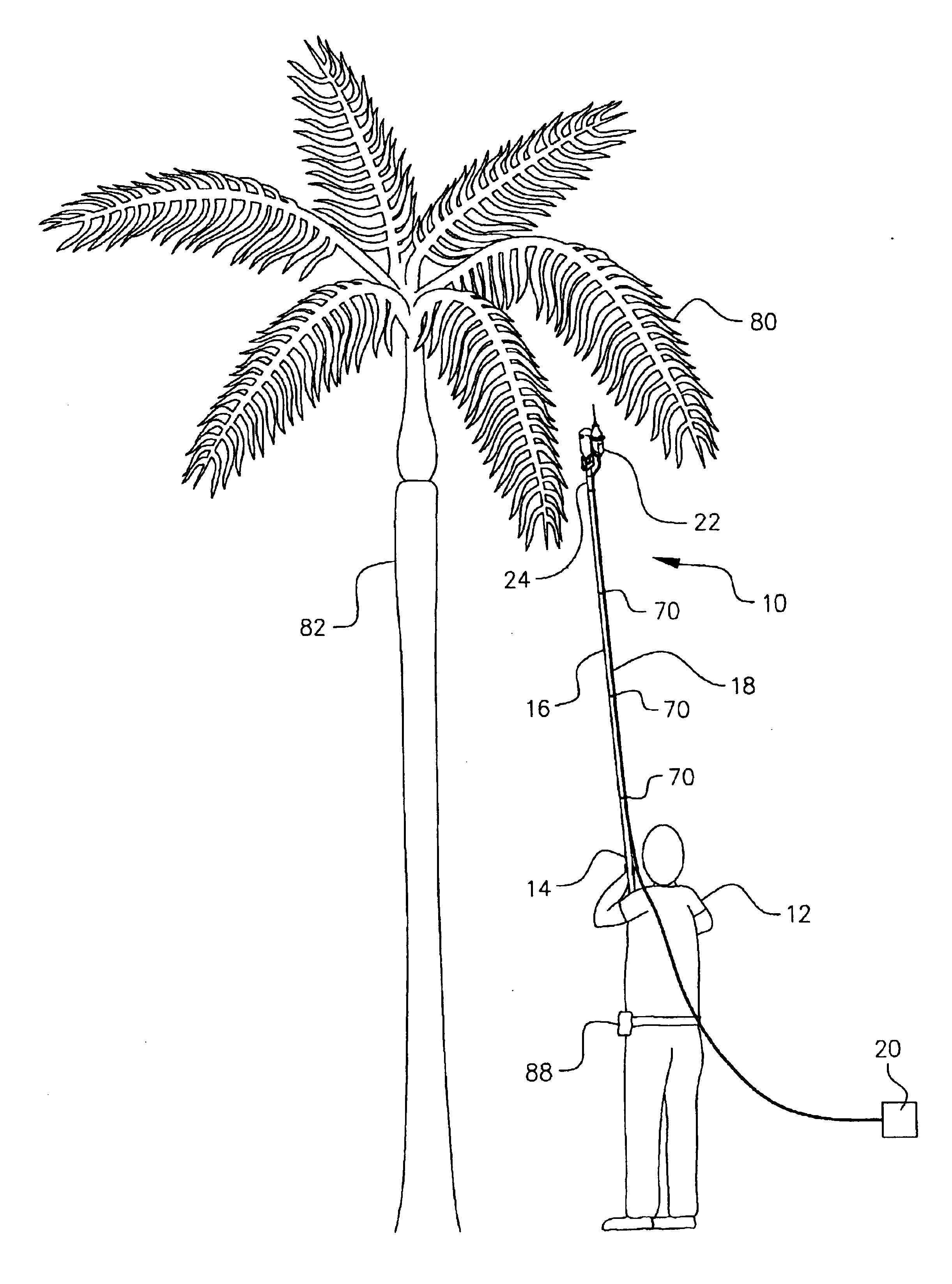 Tree limb cutting and trimming tool